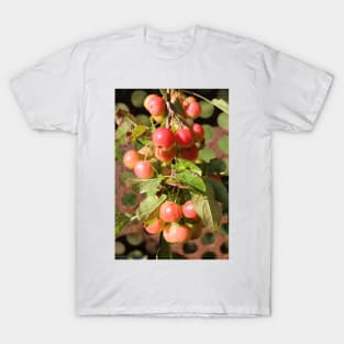 Red Crabapples T-Shirt